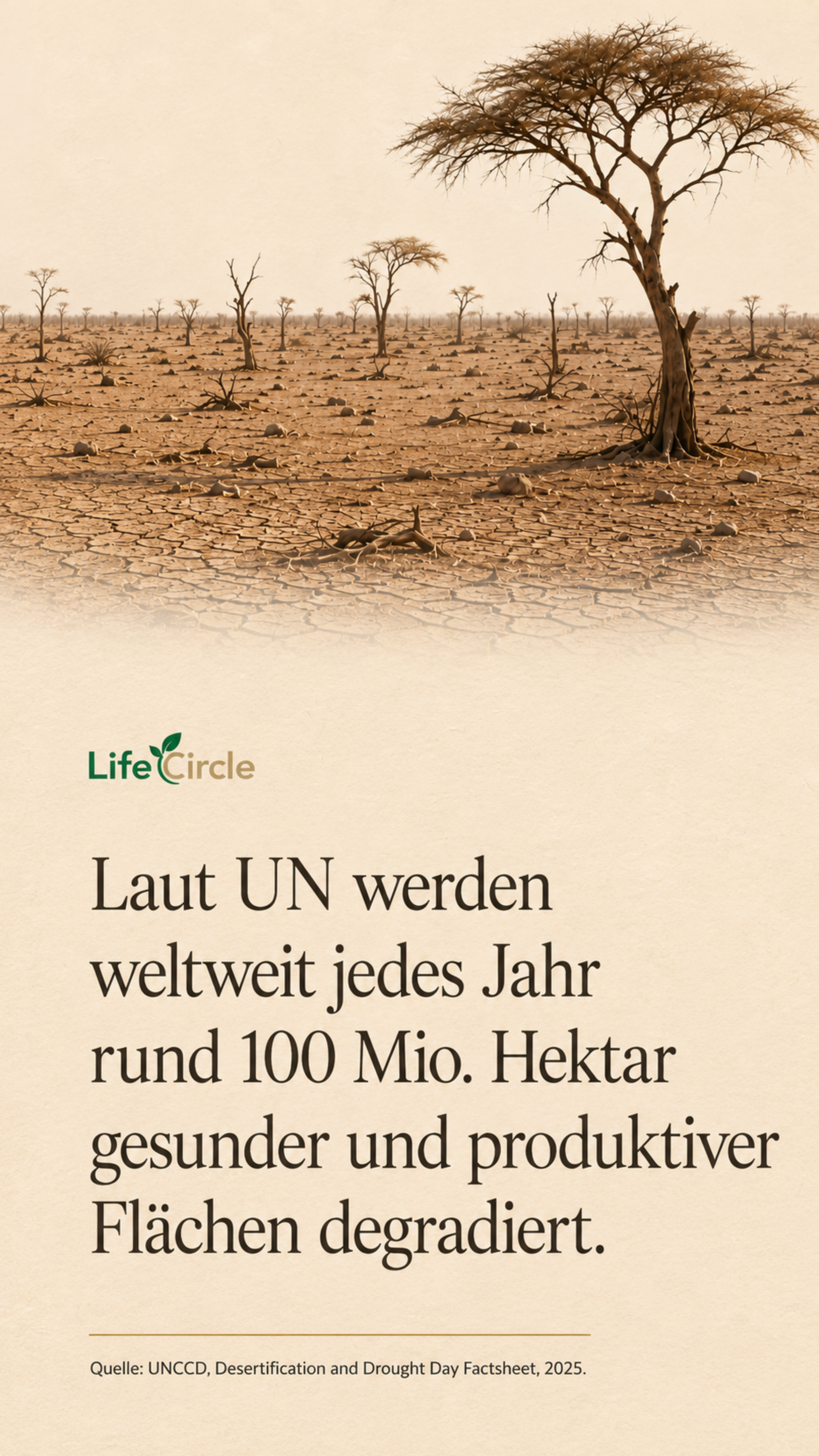 Laut UN werden weltweit jedes Jahr rund 100 Mio. Hektar gesunder und produktiver Flächen degradiert