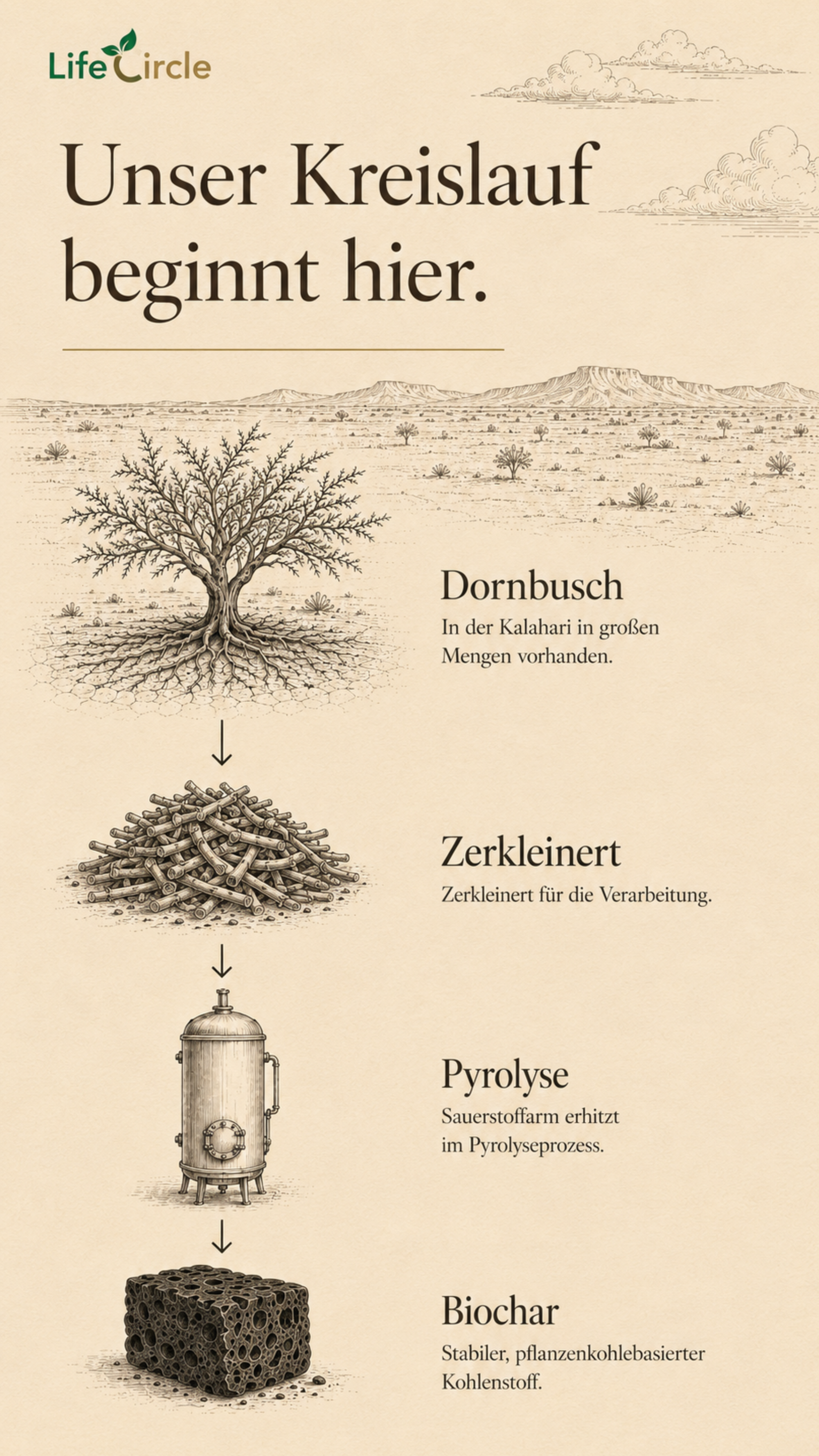 Diagramm des Biochar-Prozesses: Dornbusch, zerkleinerte Biomasse, Pyrolyse, Biochar