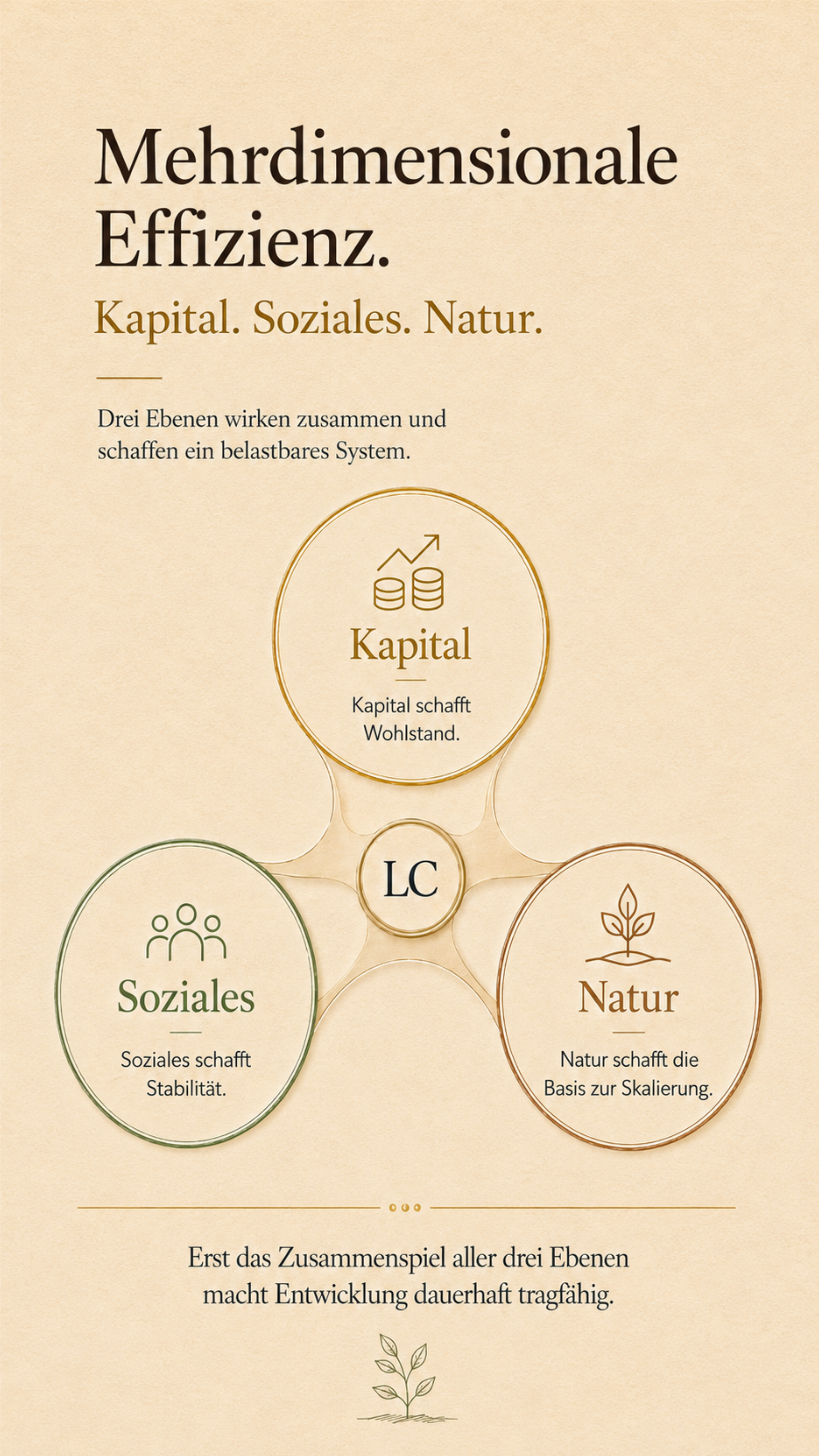 Diagramm der dreidimensionalen Effizienz: Kapital, Soziales und Natur