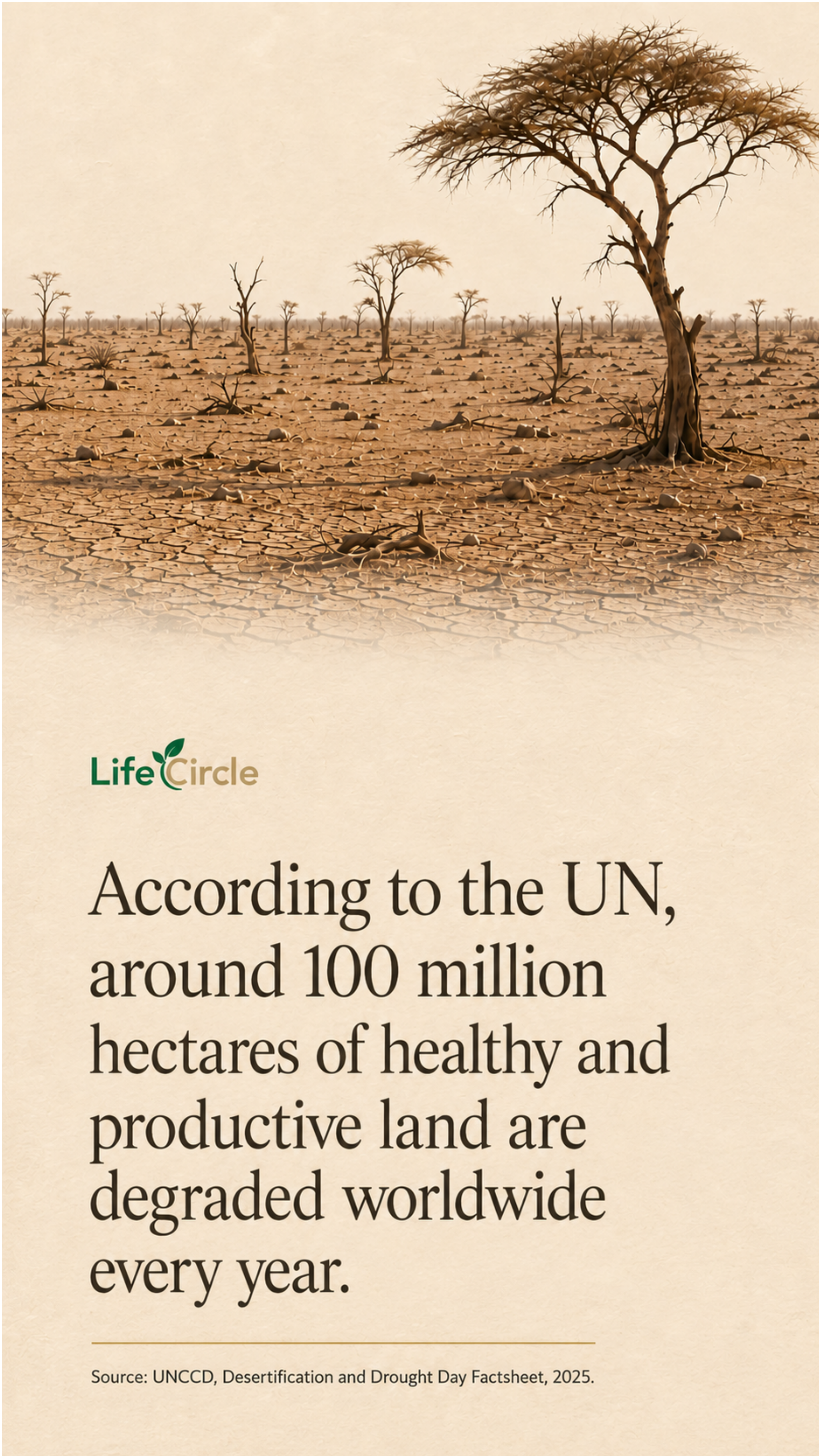 According to the UN, around 100 million hectares of healthy and productive land are degraded every year