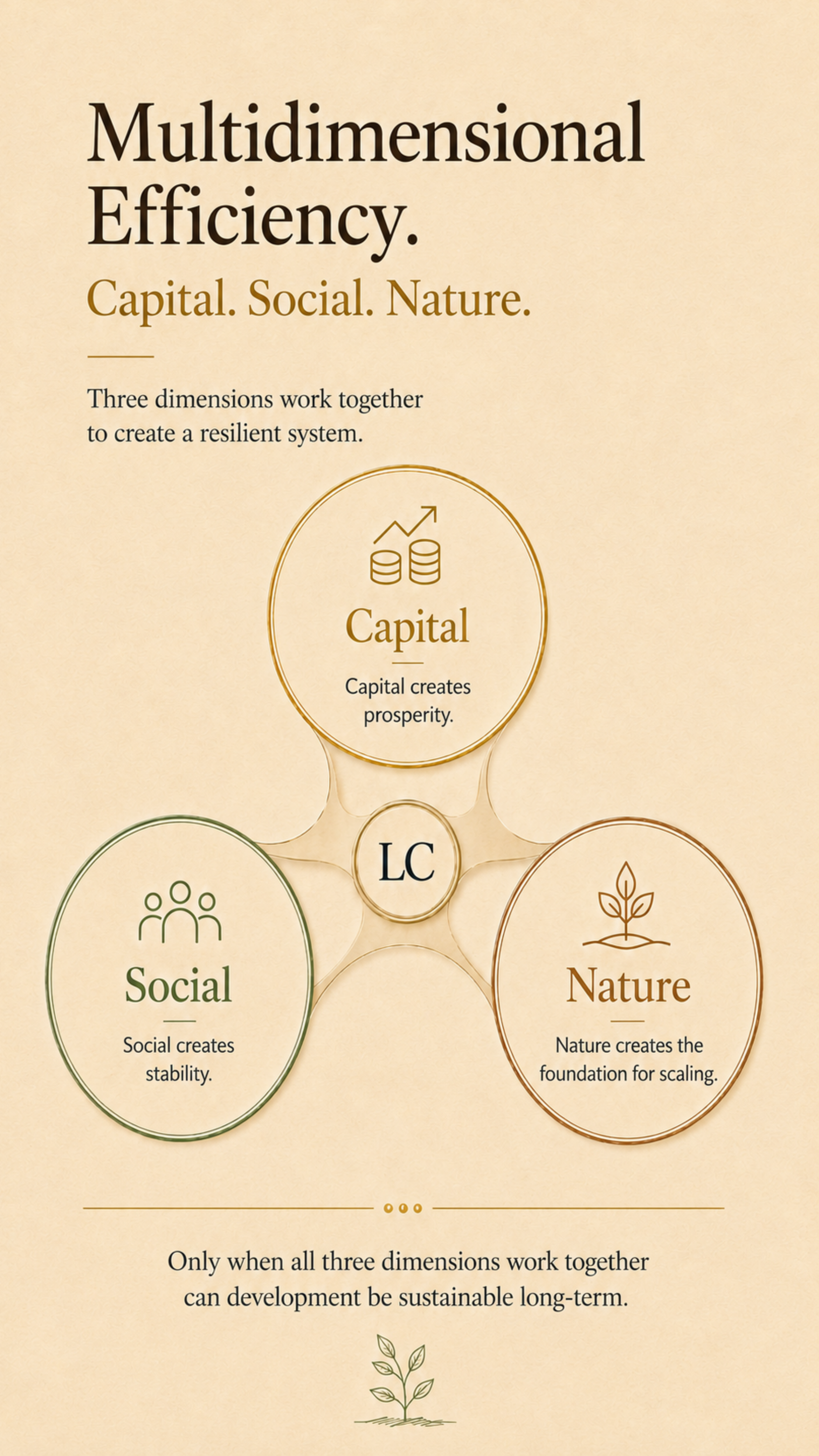 Diagram of three-dimensional efficiency: capital, social and nature